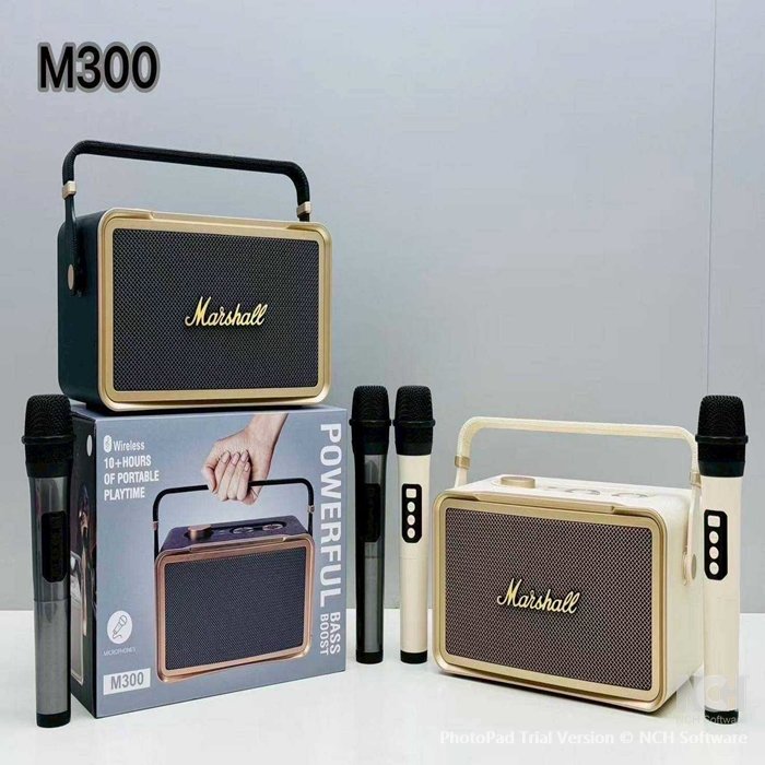 ลำโพงบลูทูธคาราโอเกะ รุ่น M300 ที่มาพร้อมไมโครโฟนไร้สาย 2 ตัว